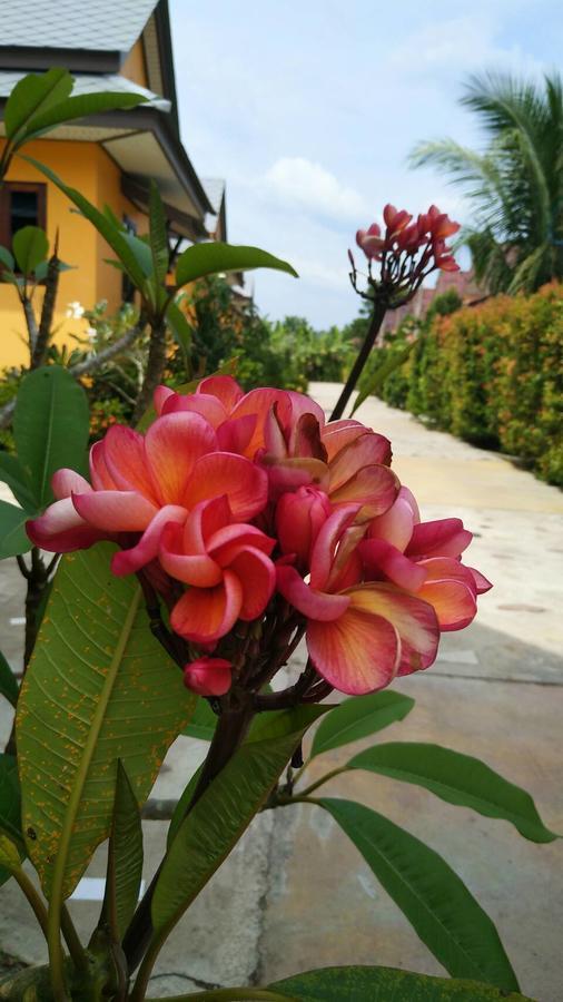 Hotel Baan Mek Lom Khao Lak Zewnętrze zdjęcie